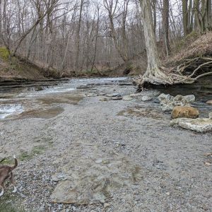PXL_20240408_150719246.jpg