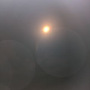 PXL_20240408_183927167.jpg