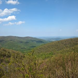 PXL_20240428_202250679.jpg