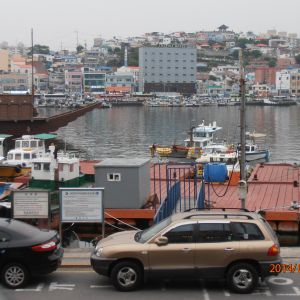 P5240278.JPG