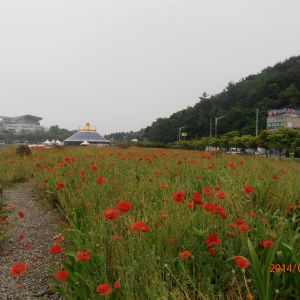P5260339.JPG