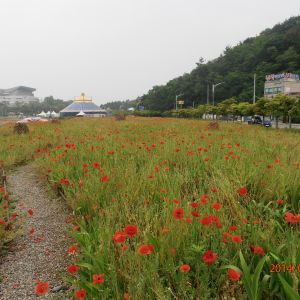 P5260340.JPG