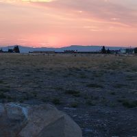 IMG_20220731_060618686.jpg