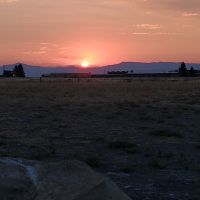 IMG_20220731_060943974.jpg