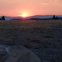 IMG_20220731_061021245.jpg